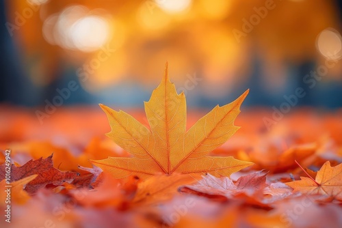 colorful orange maple leaves scattered on the ground with a bokeh effect in the background capturing the essence of autumn and the beauty of natures seasonal changes