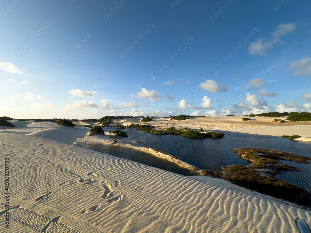 Fototapeta premium Genipabu dunes, Brazil at sunset