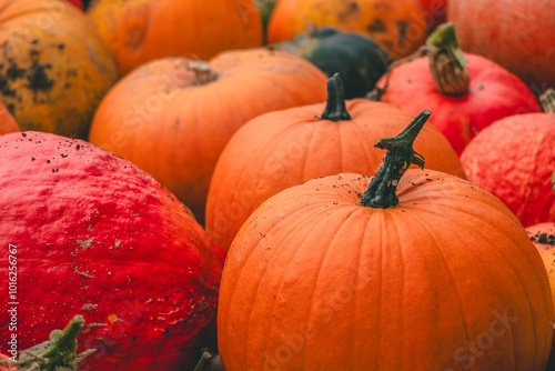 pile of pumpkins