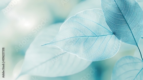Turquoise leaf texture illustration poster background
