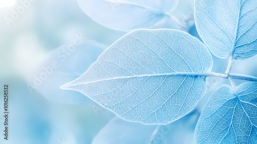 Turquoise leaf texture illustration poster background