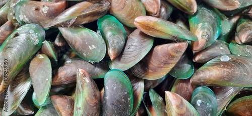 A pile of raw fresh green mussels or kerang hijau background photo