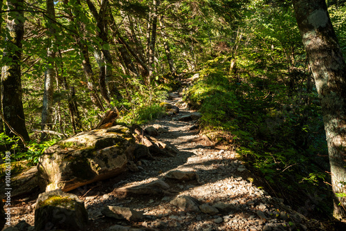 北岳白根御池へ続く登山道　山梨県南アルプス市 photo