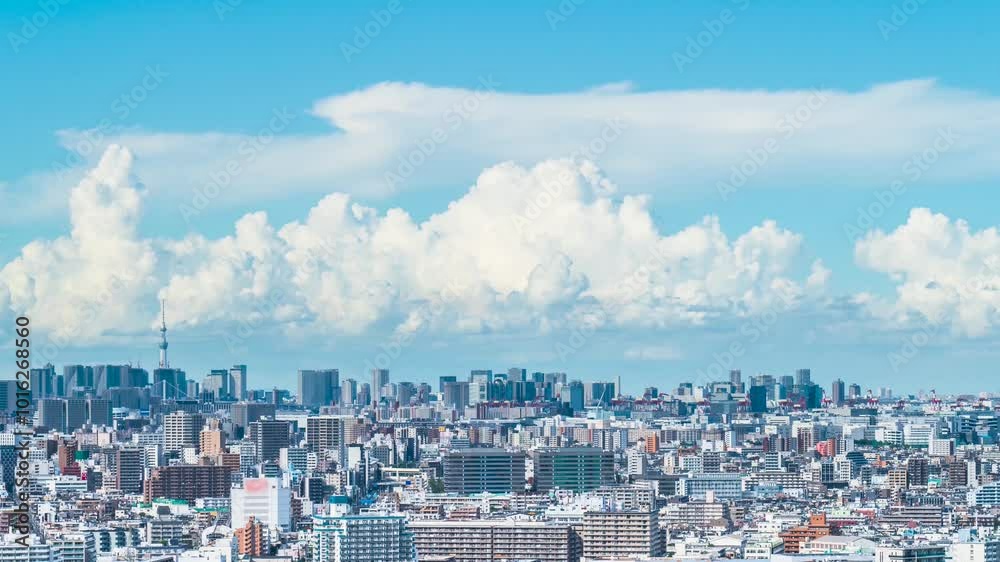 【東京都】夏空広がる東京の都市風景 タイムラプス ティルトダウン 【東京都】夏空広がる東京の都市風景 タイムラプス ティルトダウン