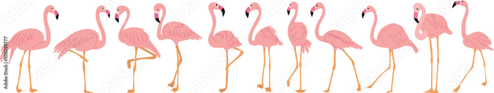 Obraz premium set of flamingo bird in flat style on white background, vector