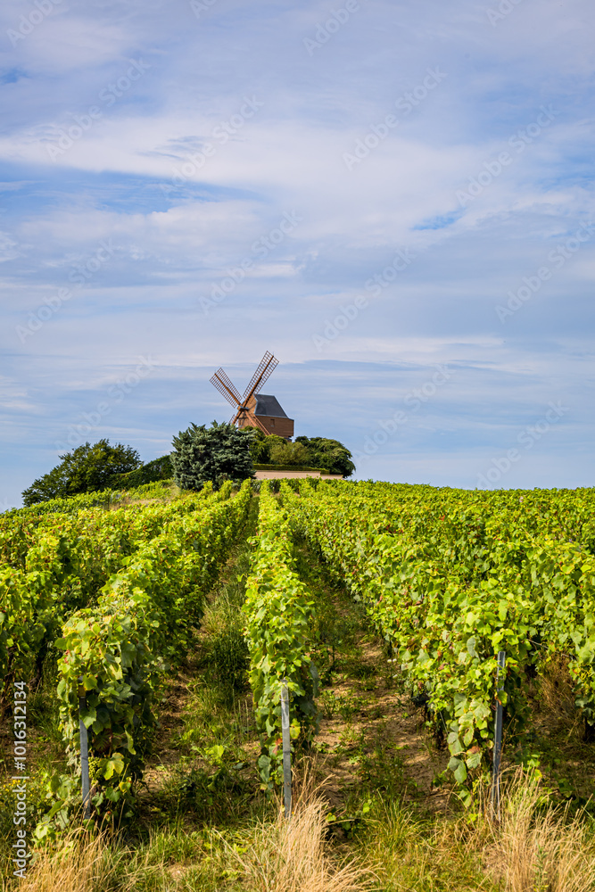 Le Moulin de Verzenay au milieu des vignobles de vin pétillant de Champagne