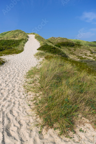 Weg durch die Dünenlandschaft auf Sylt, Deutschland