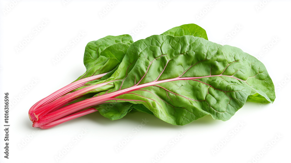 Fresh Swiss chard with vibrant green leaves and striking red stems, perfect for healthy dishes and salads. This nutritious vegetable adds color and flavor to any meal. Fresh Swiss chard with vibrant green leaves and striking red stems, perfect for healthy dishes and salads. This nutritious vegetable adds color and flavor to any meal.