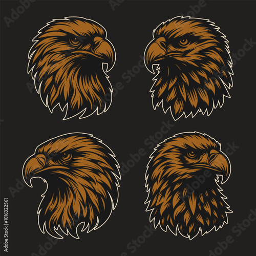 Vector of eagle head with monochrome style in black background photo