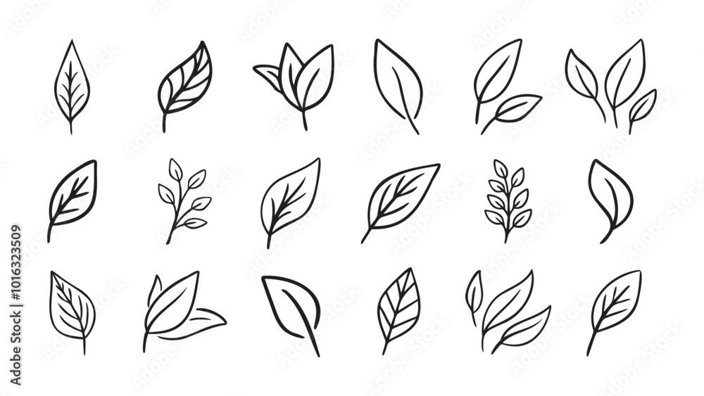 Hand drawn leaf eco set. Black line doodle leaf icons Hand drawn leaf eco set. Black line doodle leaf icons