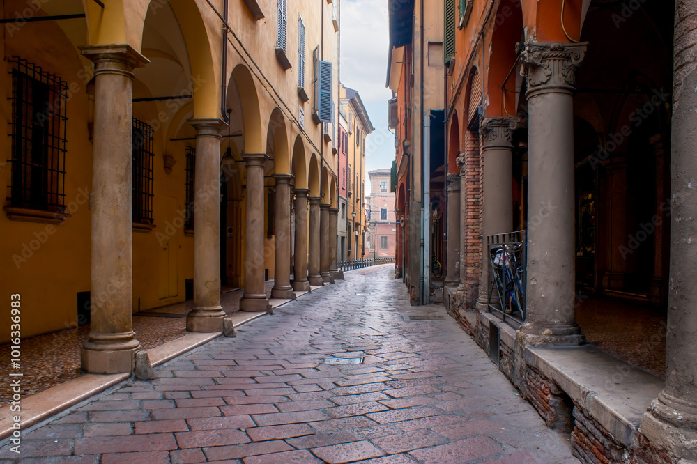 Charming narrow Via Porta Nuova with historic mansions and arcades, Bologna, Italy