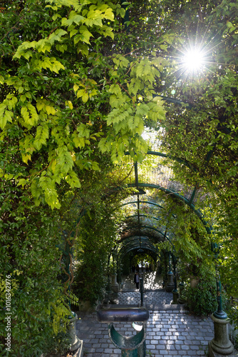 Arched pathway in the sun