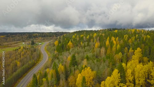 A bird's-eye view of the autumn forest of the Scandinavian northern latitudes.