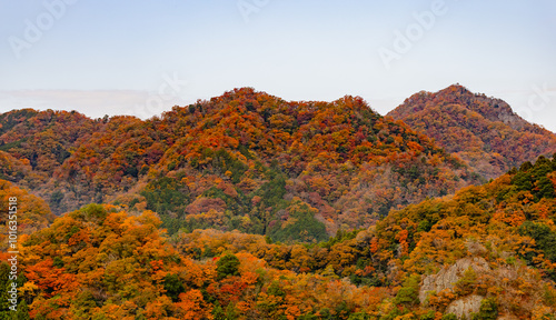 竜神大吊橋