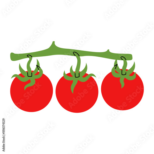 Branch of juicy ripe tomatoes. Hand drawn fresh bunch with ripe tomatoes on green stem. Ideal for recipe book