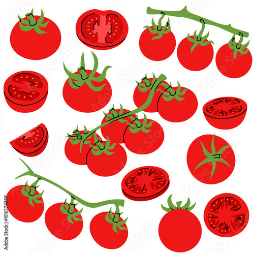 Red tomato shown in different stages, including cross sections, slices, and whole, in a hand drawn style