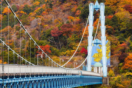 竜神大吊橋 photo