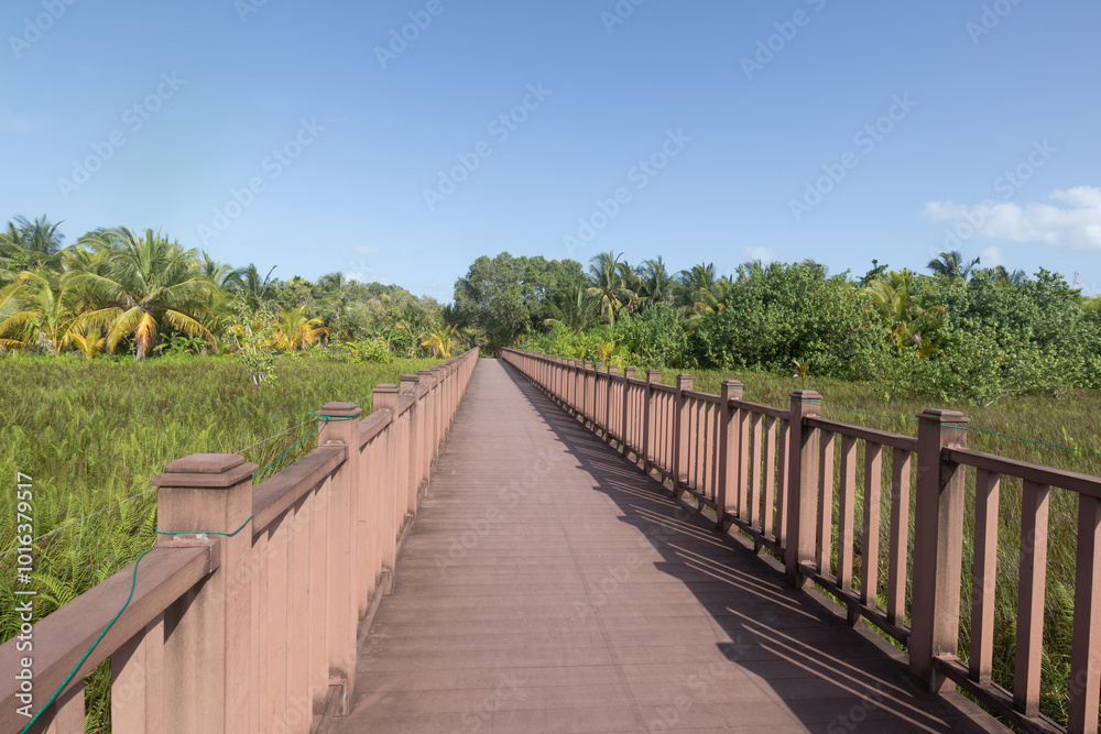 Fuvahmulah wetland nature park in the Maldives Fuvahmulah wetland nature park in the Maldives