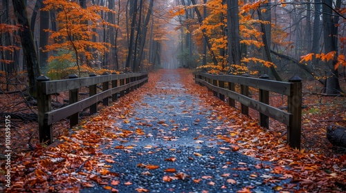 Serene Autumn Pathway in Foggy Forest