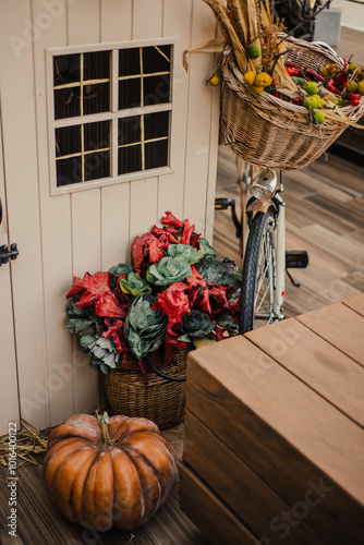 Cozy Autumn Vibes: A Farm Life with Rabbits