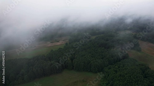 Foggy and misty autumn forest. Aerial view.