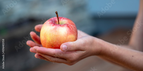 Closeup view of hands of a child holding a ripe apple