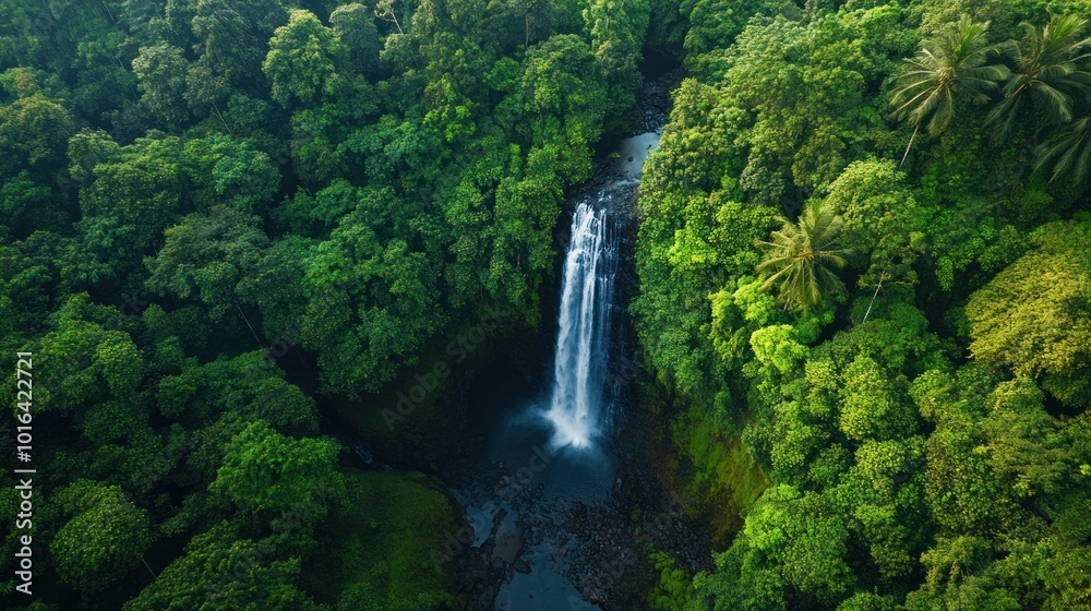 Aerial View of Lush Rainforest Waterfall Aerial View of Lush Rainforest Waterfall