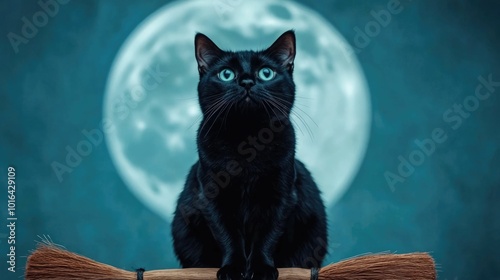 Mystical Black Cat Sitting on a Broomstick Under the Full Moon Spooky Halloween Pet Concept   Feline familiar witch s companion supernatural occult pagan allegoric surreal digital art manipulation
