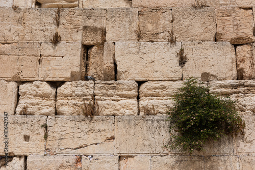 Detail of a broad section of the rows of stone comprising the Western Wall in the Old City of Jerusalem, Israel.