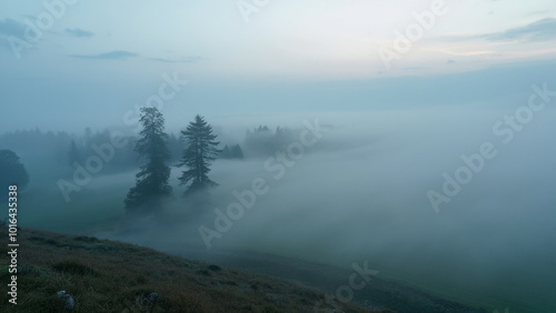 Aerial view of Heavy fog in nature. View of the foggy nature forest and misty.