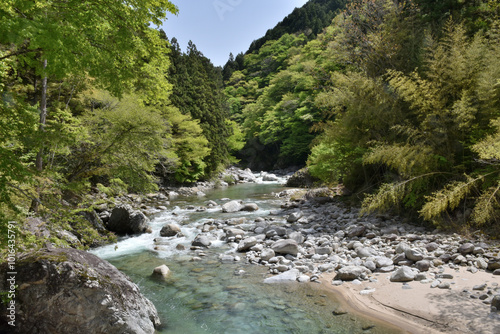 青味がかったきれいな川の水、美しい新緑の山 photo