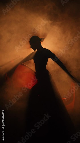 Silhouette of a woman in a red skirt dancing Latin in smoke in neon light. Dance concept. Bachata, Flamenco.Latino.Rumba.Samba.vertical video 4k