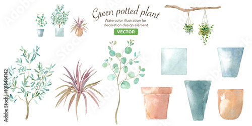 植物と鉢の水彩イラスト。コーディネイト可能な植物と植木鉢。ユーカリ、オリーブ、コルディリネ。（ベクター）