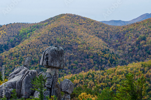 landscape in autumn