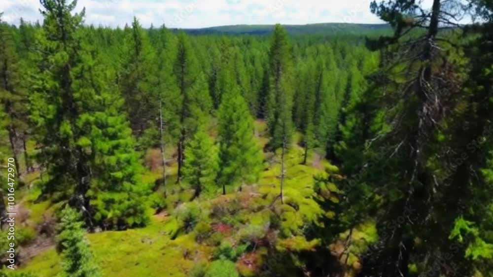 green forest in the morning. Ai generate green forest in the morning. Ai generate