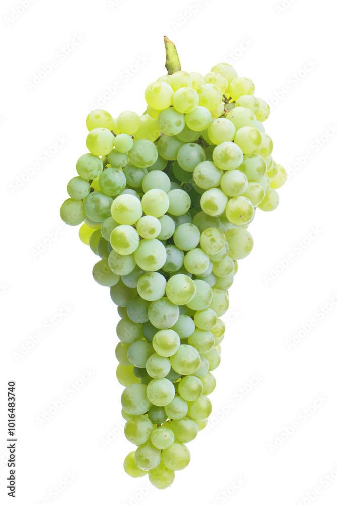 Fototapeta premium Bunch of green grapes isolated