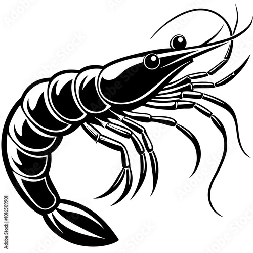 illustration of a shrimp