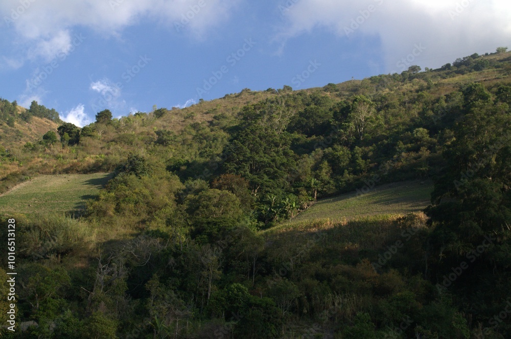 El Estado Tachira nos deleita con su variedad de paisajes,altas montañas y llanos cultivables. El Estado Tachira nos deleita con su variedad de paisajes,altas montañas y llanos cultivables.