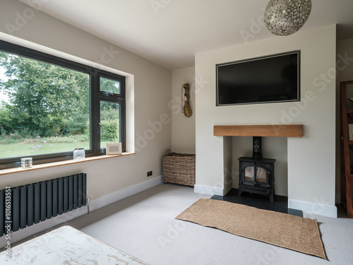 Furnished living room with contemporary radiator