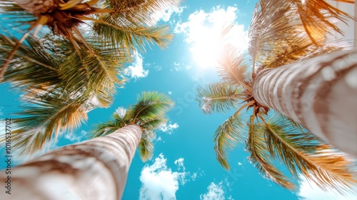 Palm trees bask in sunlight against a vibrant blue sky, creating a picturesque tropical feel with interspersing clouds and powerful solar shine overhead. photo