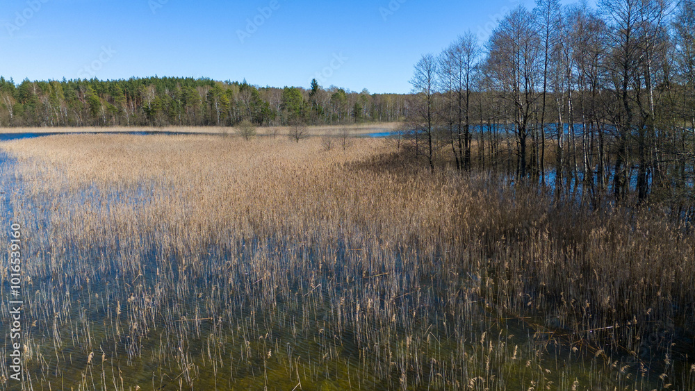 Aerial View of Serene Lake Surrounded by Forests Aerial View of Serene Lake Surrounded by Forests