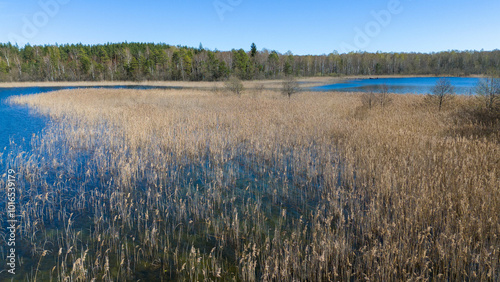 Aerial View of Serene Lake Surrounded by Forests