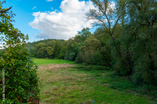 lush green field with a few trees in the background. The sky is blue with some clouds