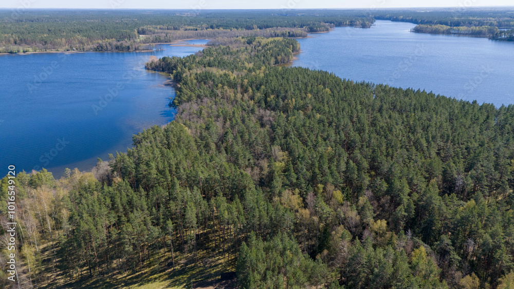 Obraz premium Aerial View of Serene Lake Surrounded by Forests