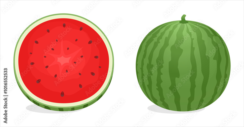set of whole and sliced watermelon vector illustration, fresh summer fruit set of whole and sliced watermelon vector illustration, fresh summer fruit