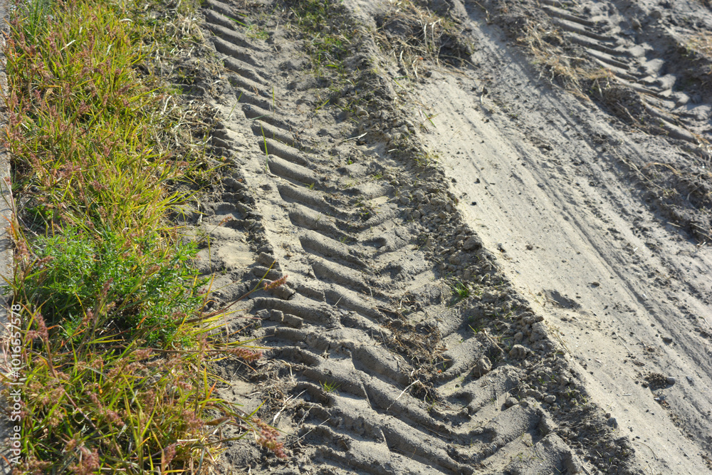 Unusual backgrounds, a drawing from the wheels of a passing construction tractor on the ground, soil, yellow sand with green plants. Unusual backgrounds, a drawing from the wheels of a passing construction tractor on the ground, soil, yellow sand with green plants.