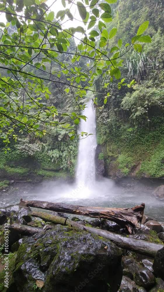 Curug Sawer is included in the Situ Gunung natural tourist area, which is in Kadudampit District, Sukabumi Regency. In ancient times it was known as a haunted place, scary.