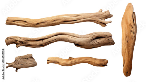 A collection of woody branches with varying sizes and shapes