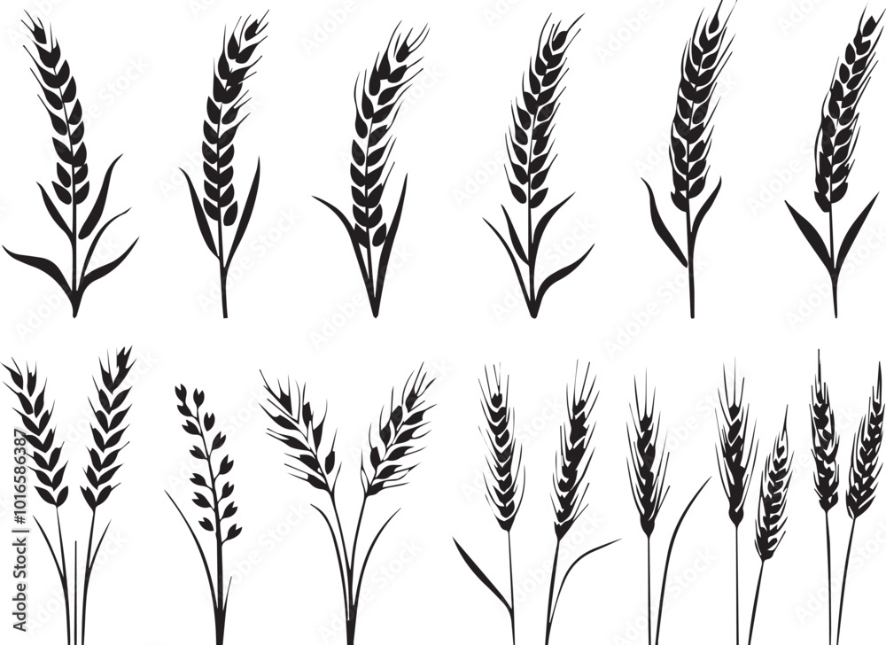 Set of minimalistic flat design wheat silhouettes. Hand drawn vector illustration Set of minimalistic flat design wheat silhouettes. Hand drawn vector illustration