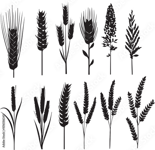 Set of minimalistic flat design wheat silhouettes. Hand drawn vector illustration	